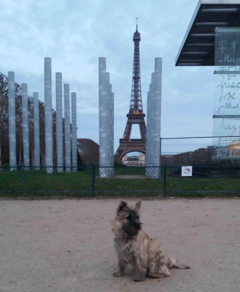 Oli en vacances