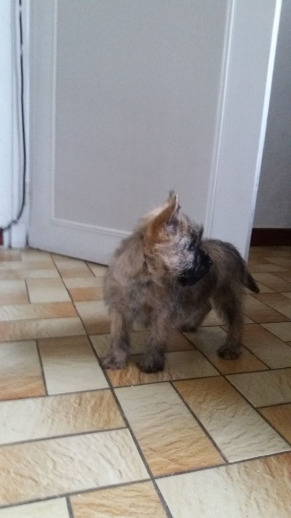 Oli à 2 mois au Pays Basques